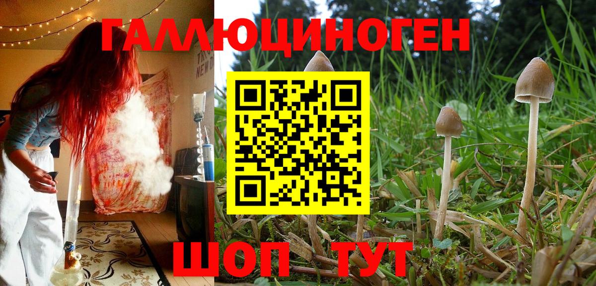 Псилоцибиновые грибы Magic Shrooms  Вход с VPN  Солнечногорск 