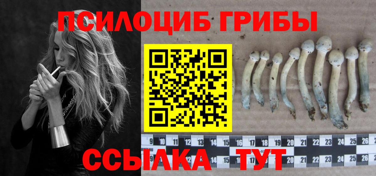 Псилоцибиновые грибы MAGIC MUSHROOMS Солнечногорск